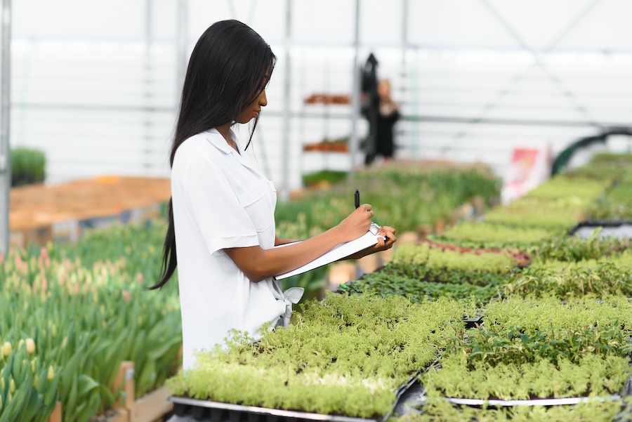 Beautiful young smiling african american girl, worker with flowers in greenhouse. Concept work in the greenhouse, flowers.